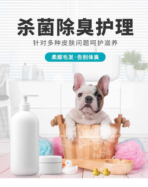 簡(jiǎn)約設(shè)計(jì)，溫柔呵護(hù)——寵物洗護(hù)用品詳情頁 | 寵物全運(yùn)會(huì)聯(lián)名手機(jī)海報(bào)長(zhǎng)圖