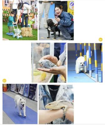 數(shù)萬寵業(yè)人齊聚潮寵展，這些亮點(diǎn)讓人驚呼OMG！寵物全運(yùn)會(huì)點(diǎn)燃行業(yè)激情